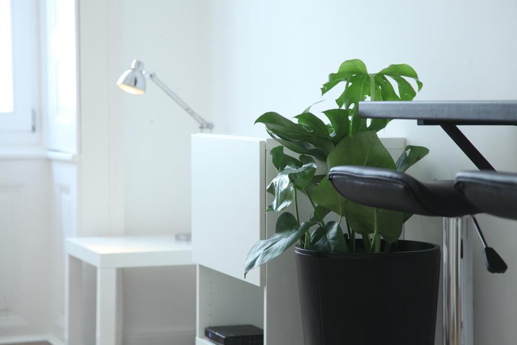 Pearl Apartment In The Center With City View Budapest Bagian luar foto